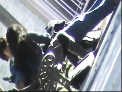 Raven-haired cutie sucks an erected cock in the city park