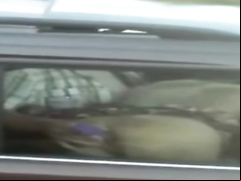 Trucker films a woman sucking penis in the car
